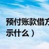 预付账款借方表示什么账户（预付账款借方表示什么）