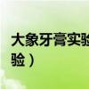 大象牙膏实验原理是什么方程式（大象牙膏实验）