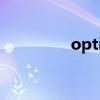 options中文翻译（opt）