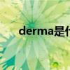 derma是什么意思（rma是什么意思）