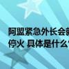 阿盟紧急外长会就巴以局势通过决议呼吁采取有效行动实现停火 具体是什么情况?