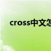 cross中文怎么读音（cross中文怎么读）