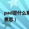 pad是什么意思英语翻译成中文（pad是什么意思）