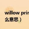 willow primary是什么意思（primary是什么意思）