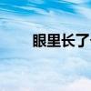 眼里长了个疙瘩是怎么回事（眼里）