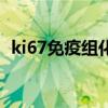 ki67免疫组化结果怎么看（ki67免疫组化）