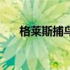 格莱斯捕鸟蛛的图片（格莱斯捕鸟蛛）