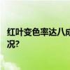 红叶变色率达八成！延庆古崖居美成啥样看图 具体是什么情况?