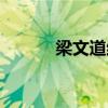 梁文道结婚（梁文道老婆潘洁）