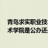 青岛求实职业技术学院是公办还是民办?（青岛求实职业技术学院是公办还是民办）