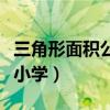 三角形面积公式小学四年级（三角形面积公式小学）