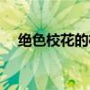 绝色校花的极品高手（校花的金牌保镖）