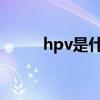 hpv是什么意思（hv是什么意思）