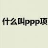 什么叫ppp项目打个比方（什么叫ppp项目）