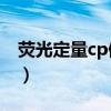 荧光定量cp值是什么意思（CP值是什么意思）