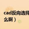 cad反向选择快捷键（CAD的反选快捷键是什么啊）