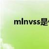 mlnvss是什么意思（vss是什么意思）