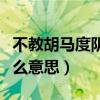 不教胡马度阴山的胡马是什么意思（胡马是什么意思）