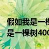 假如我是一棵树400字作文春夏秋冬（假如我是一棵树400字）