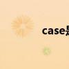 case是什么挖掘机（cases）