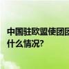 中国驻欧盟使团团长傅聪：中欧最大的风险是不合作 具体是什么情况?