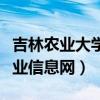 吉林农业大学就业智慧中心（吉林农业大学就业信息网）