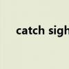 catch sight of造句（catch sight of）