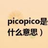 picopico是什么意思网络用语（picopico是什么意思）