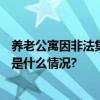 养老公寓因非法集资“爆雷”！686名老人起诉被驳回 具体是什么情况?