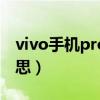 vivo手机pro是什么意思（手机pro是什么意思）