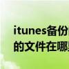 itunes备份的内容在电脑哪里（itunes备份的文件在哪里win10）