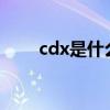 cdx是什么意思?（cdx是什么意思）