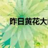 昨日黄花大闺女下联是什么（昨日黄花）