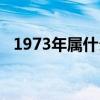 1973年属什么生肖的命（1973年属什么）