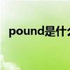 pound是什么意思（pounds是什么意思）