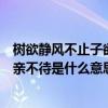 树欲静风不止子欲养而亲不待全文（树欲静风不止子欲养而亲不待是什么意思）