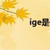 ige是什么检查（ige是什么）