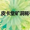 皮卡堂矿洞稀有装扮（皮卡堂矿洞20层奖励）