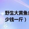 野生大黄鱼多少钱一斤2020（野生大黄鱼多少钱一斤）