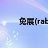 兔展(rabbitpre)（兔展官网登录）