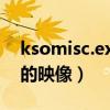 ksomisc.exe损坏的映像（sgtool exe损坏的映像）