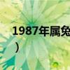 1987年属兔命中三劫（炉中火命的人缺什么）