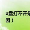 u盘打不开是什么问题（u盘打不开是什么原因）