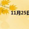 11月25日上映的电影（11月25日）