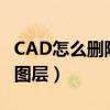 CAD怎么删除图层中部分线段（cad怎么删除图层）