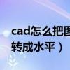 cad怎么把图形旋转成水平方向（cad图形旋转成水平）