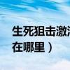 生死狙击激活码大全2021（生死狙击激活码在哪里）