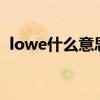 lowe什么意思中文（low bee是什么意思）