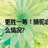 更胜一筹！骆驼启停蓄电池为您定制“高配”体验 具体是什么情况?