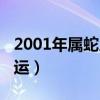 2001年属蛇人一生运程（2001年属蛇人的命运）